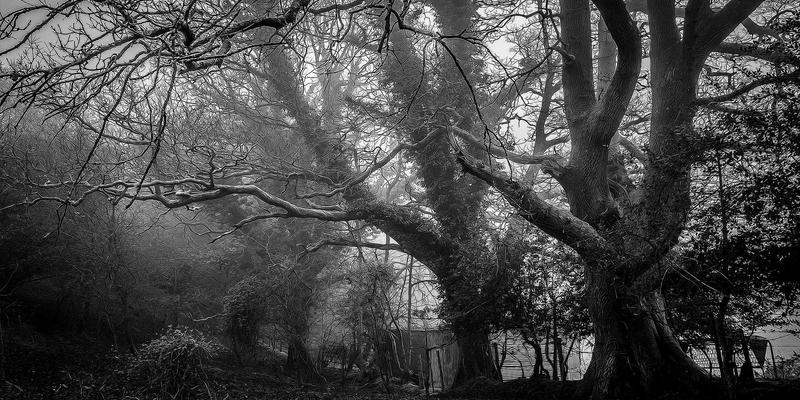 B2B E-commerce 98：揭秘批发市场与商业平台如何重塑全球贸易格局