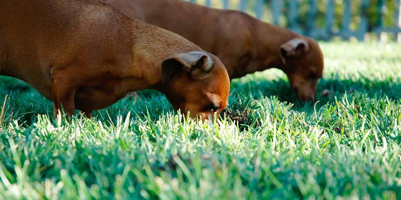 B2B E-commerce进阶：构建全球化智能商业平台的新范式