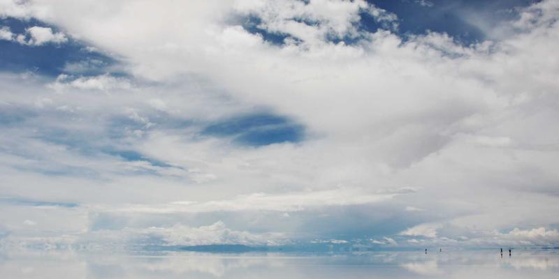 Purple Power: 如何通过紫色主题打造专业B2B批发平台