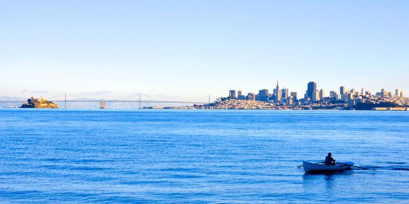 Unlocking Growth with a Purple-Themed Wholesale Marketplace: A B2B E-commerce Blueprint