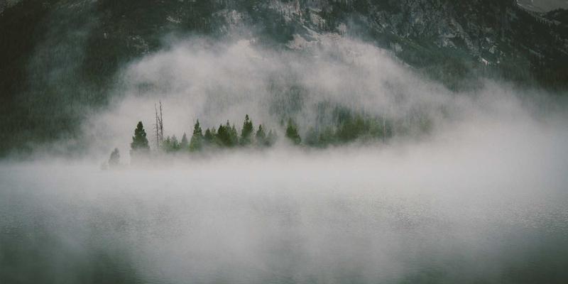 全球贸易新引擎:B2B电子商务平台与供应商目录的协同进化