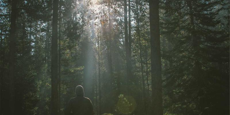 全球贸易新浪潮：如何在Wholesale Marketplace构建Graffiti Style的UGC社区