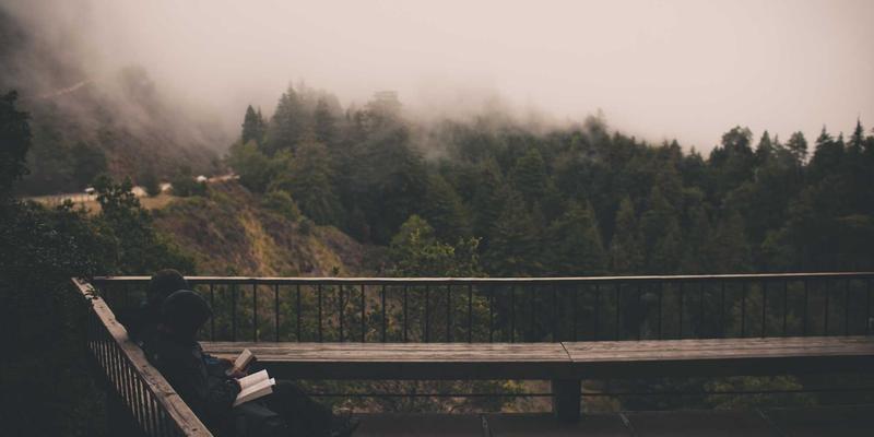 紫色主题如何重塑B2B电商平台：打造专业批发市场的视觉与信任革命